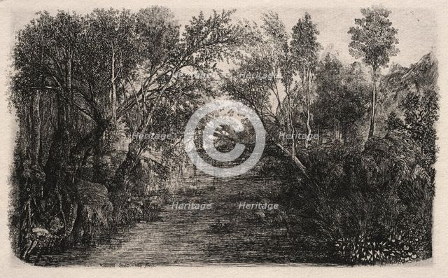 The Stream, 1880. Creator: Rodolphe Bresdin (French, 1822-1885).