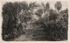 The Stream, 1880. Creator: Rodolphe Bresdin (French, 1822-1885)