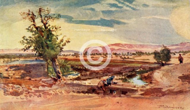 'The Stream Flowing from the Spring of Elisha', 1902. Creator: John Fulleylove.