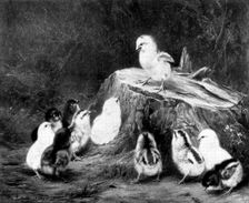 The Stump Orator - by Robert Morley, 1898. Creator: Unknown