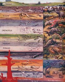 The Succession of Life in the Rocks 1935