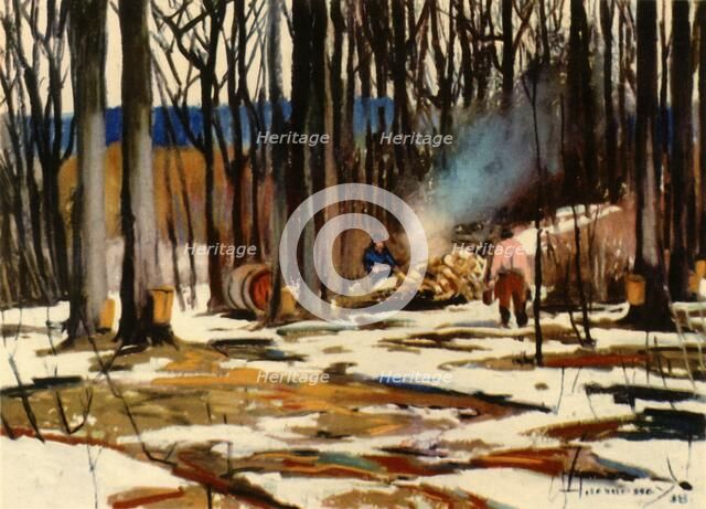 'The Sugar Bush: Quebec Province', 1941. Creator: Frank Hennessey.