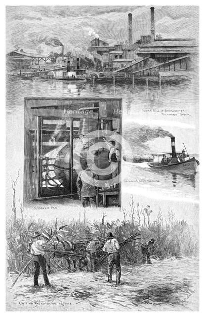 The sugar industry, Richmond River, New South Wales, Australia, 1886.Artist: JR Ashton