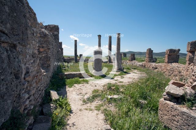 The Summer Baths at Thuburbo Majus, Tunisia. Creator: Samuel Magal.