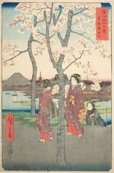 The Sumida Embankment in the Eastern Capital (Toto Sumida zutsumi), from the series "Thirty...,1858. Creator: Ando Hiroshige