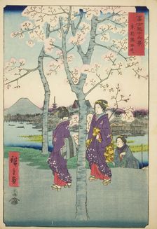 The Sumida Embankment in the Eastern Capital (Toto Sumida-zutsumi), from the series..., 1858. Creator: Ando Hiroshige