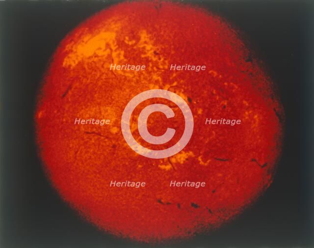 The Sun in H-alpha light. Creator: NASA.