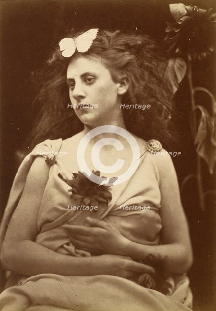 The Sunflower, early 1870s. Creator: Julia Margaret Cameron.