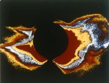 The Sun's corona. Creator: NASA