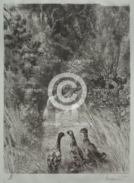 The Surprised Ducks. Creator: Félix Bracquemond (French, 1833-1914).