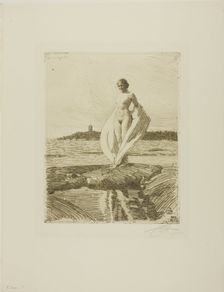 The Swan, 1915. Creator: Anders Leonard Zorn