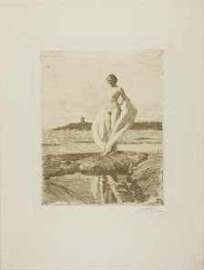 The Swan, 1915. Creator: Anders Leonard Zorn