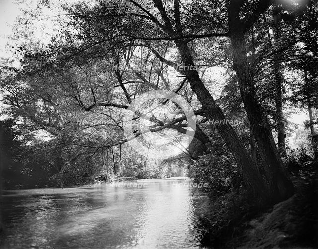 The Swannanoa near Kenilworth Inn, Asheville, N.C., between 1895 and 1910. Creator: Unknown.