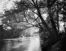 The Swannanoa near Kenilworth Inn, Asheville, N.C., between 1895 and 1910. Creator: Unknown
