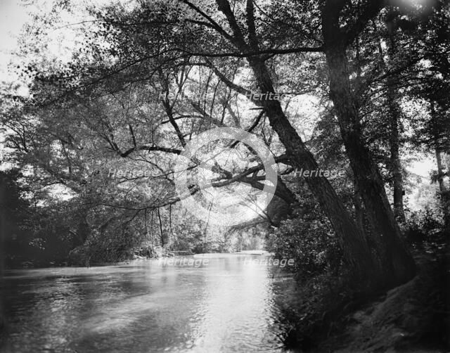 The Swannanoa near Kenilworth Inn, Asheville, N.C., between 1895 and 1910. Creator: Unknown.