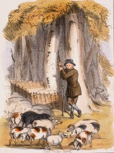 The Swine Herd c1845. Creator: Benjamin Waterhouse Hawkins