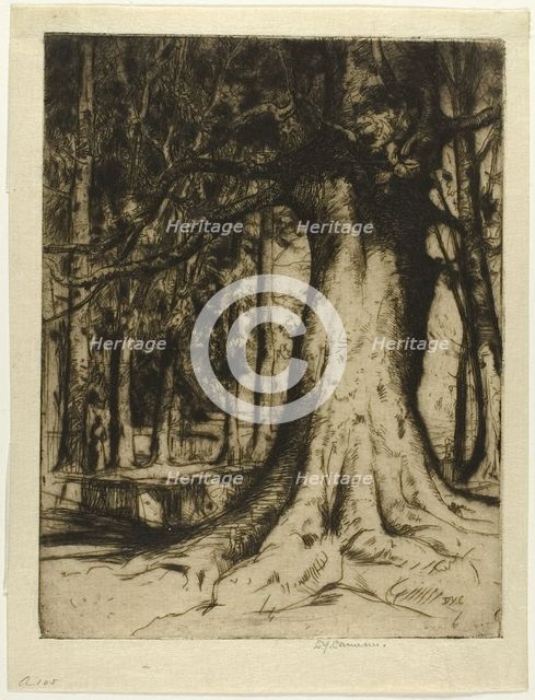 The Sycamore, 1905. Creator: David Young Cameron.