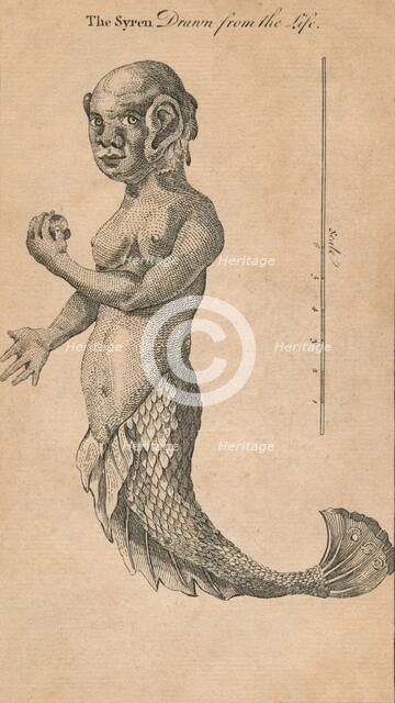 'The Syren Drawn from the Life', 1759? Creator: Benjamin Cole.