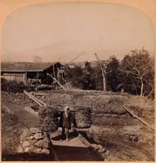 The Sacred Fujiyama, Highest Mountain in Japan 1896