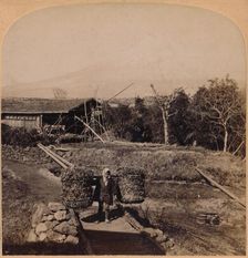 The Sacred Fujiyama, Highest Mountain in Japan 1896