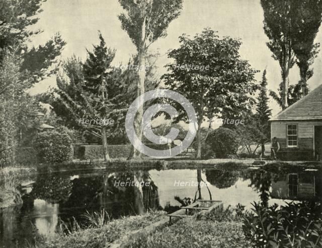'The Salmon Ponds, New Norfolk', 1901. Creator: Unknown.