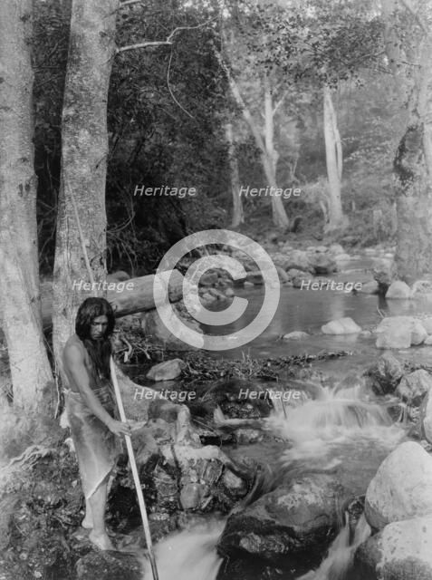 The salmon stream, c1923. Creator: Edward Sheriff Curtis.