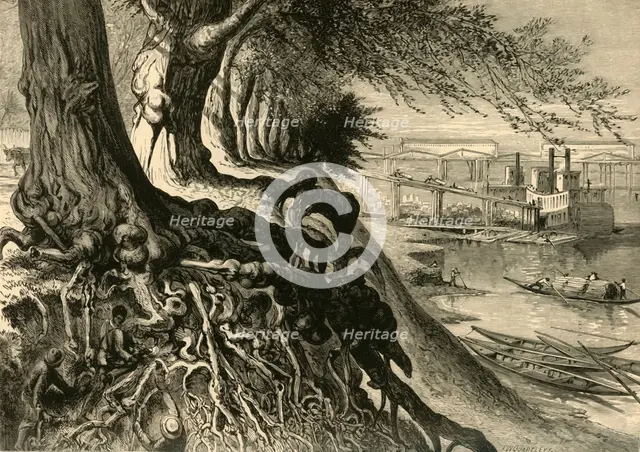 'The Savannah, at Augusta', 1872.  Creator: Frederick William Quartley.