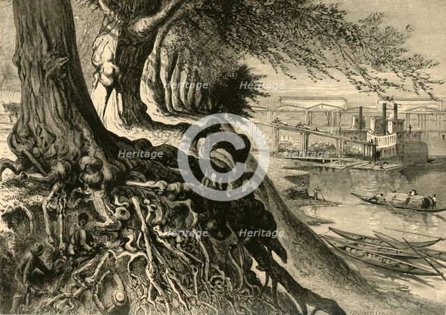 'The Savannah, at Augusta', 1872.  Creator: Frederick William Quartley.