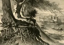 The Savannah, at Augusta 1872. Creator: Frederick William Quartley