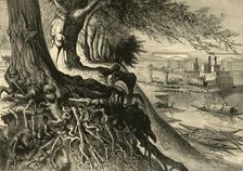 The Savannah, at Augusta 1872. Creator: Frederick William Quartley