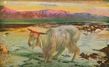 The Scapegoat, 1854-56, (1911). Artist: William Holman Hunt