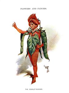 The Scarlet Runner 1899