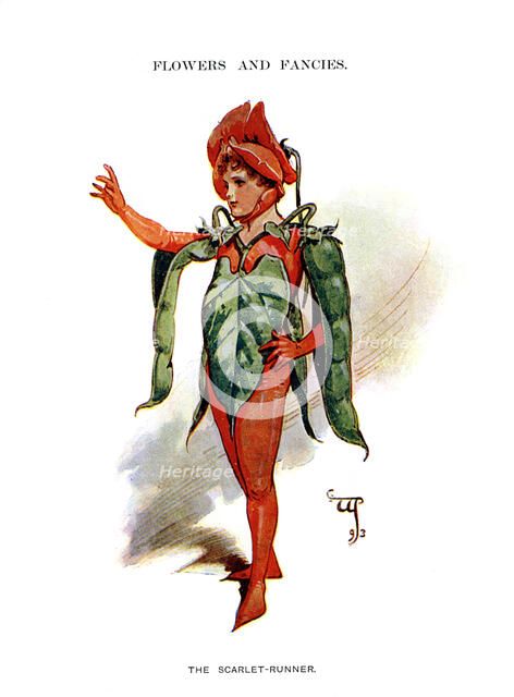 'The Scarlet Runner', 1899. Artist: Unknown