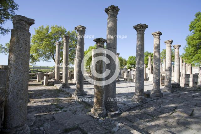 The Schola of the Juvenes, Mactaris, Tunisia. Artist: Samuel Magal