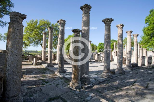The Schola of the Juvenes, Mactaris, Tunisia. Creator: Samuel Magal.