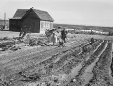 The Schroeder family, Dead Ox Flat, Malheur County, Oregon, 1939. Creator: Dorothea Lange