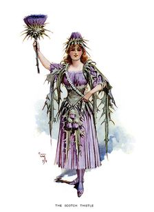 The Scotch Thistle 1899