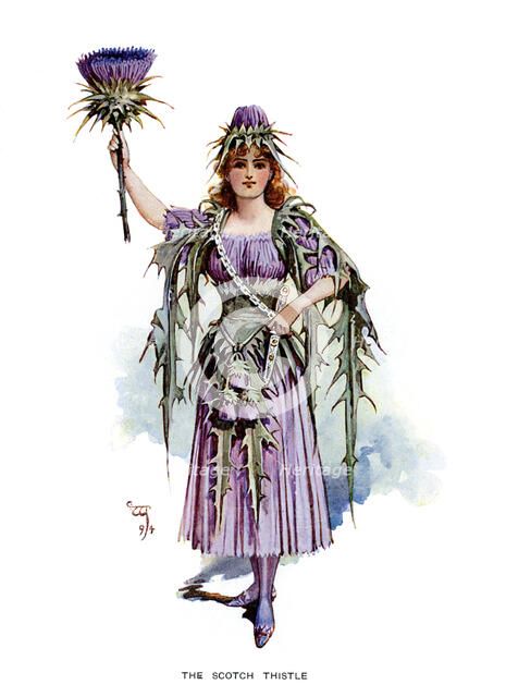 'The Scotch Thistle', 1899. Artist: Unknown