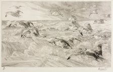 The Seagulls, c. 1880. Creator: Félix Bracquemond (French, 1833-1914)