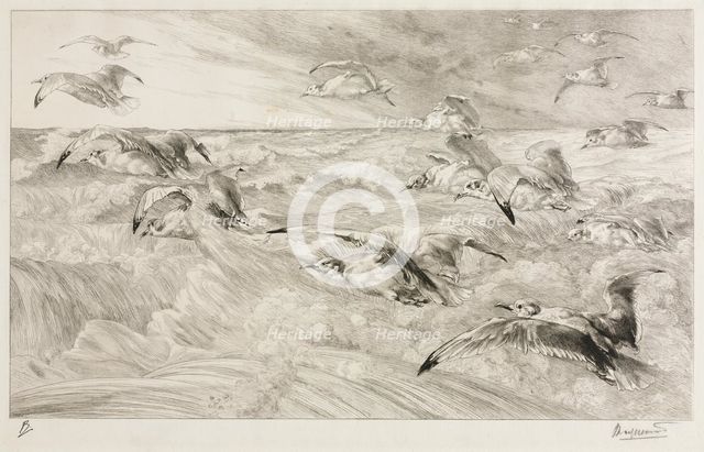 The Seagulls, c. 1880. Creator: Félix Bracquemond (French, 1833-1914).