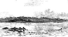"The Seals Sanctuary", Colin Hunter, A.R.A. - Royal Academy, 1890. Creator: Carl Hentschel