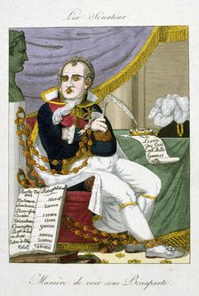 The Senator 19th century