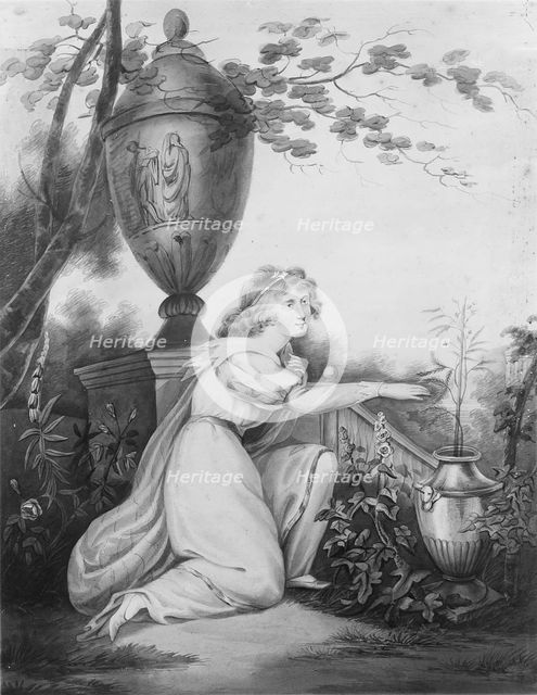 The Sensitive Plant, 1808. Creator: Maria Edgar.