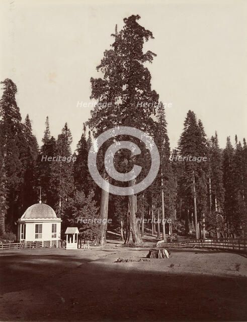 The Sentinel, 315 feet, 1865-66, printed ca. 1876. Creator: Carleton Emmons Watkins.
