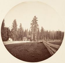 The Sentinels. C. Grove, ca. 1878. Creator: Carleton Emmons Watkins