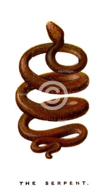 The Serpent, 1923. Artist: Unknown