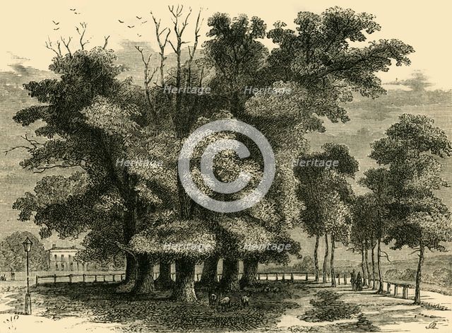 'The "Seven Sisters", in 1830', (c1876). Creator: Unknown.