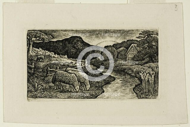 The Sheep of this Pasture, n.d. Creator: Edward Calvert.