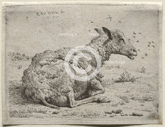 The Sheep and the Flies. Creator: Karel Dujardin (Dutch, c. 1622-1678).