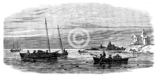 The Shellfish Supplies: crab-fishing off Fife Coast, 1862. Creator: Unknown.